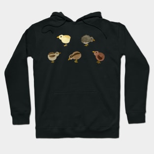 Baby chicks Hoodie